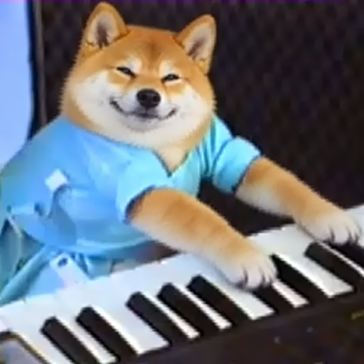 Smug Shiba Inu in a blue shirt playing a keyboard
